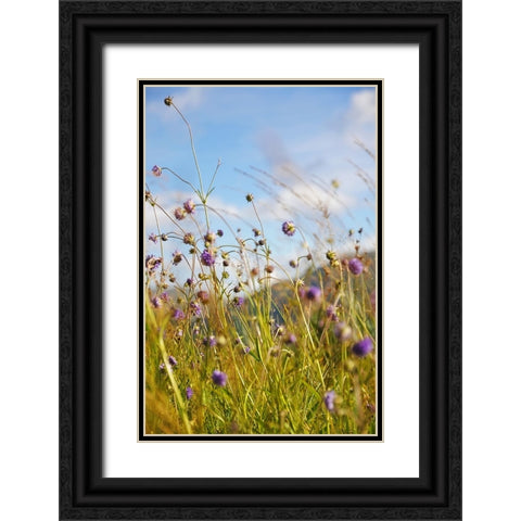 Sunny Bliss Black Ornate Wood Framed Art Print with Double Matting by Jenny Rainbow Fine Art
