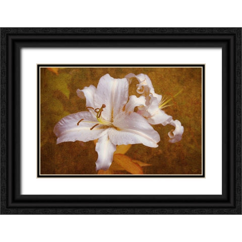 White Llilies Black Ornate Wood Framed Art Print with Double Matting by Jenny Rainbow Fine Art