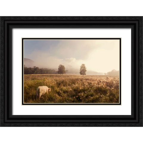 Dreamy Fields Black Ornate Wood Framed Art Print with Double Matting by Jenny Rainbow Fine Art