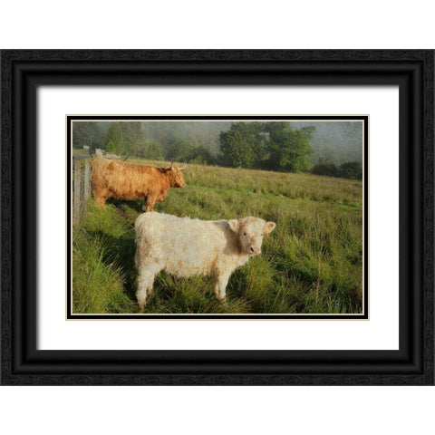 Essential Rural Life Black Ornate Wood Framed Art Print with Double Matting by Jenny Rainbow Fine Art