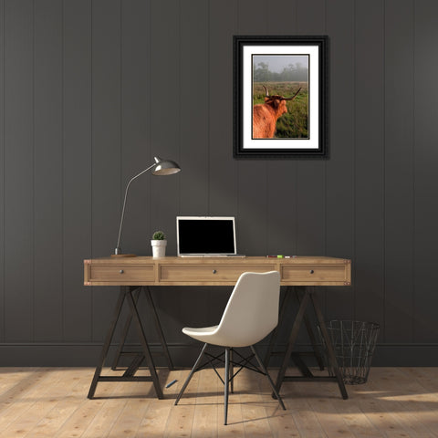 Highland Cow Black Ornate Wood Framed Art Print with Double Matting by Jenny Rainbow Fine Art