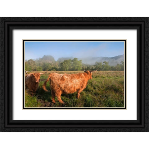 Rural Idyll Black Ornate Wood Framed Art Print with Double Matting by Jenny Rainbow Fine Art