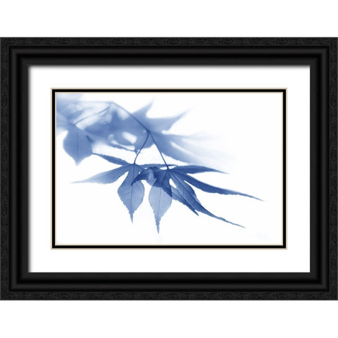 Blue Leaves 1 Black Ornate Wood Framed Art Print with Double Matting by Schell, Jennie Marie