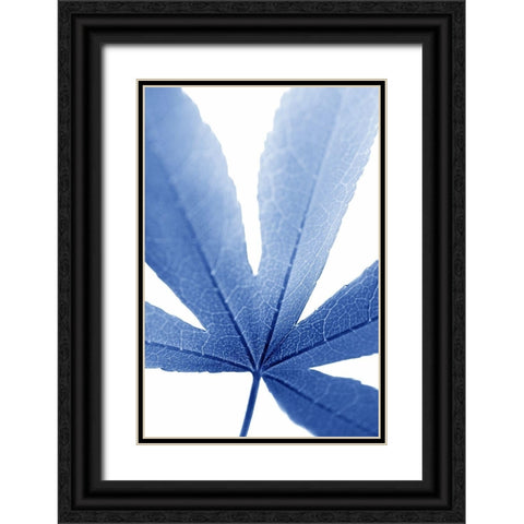 Blue Leaves 2 Black Ornate Wood Framed Art Print with Double Matting by Schell, Jennie Marie
