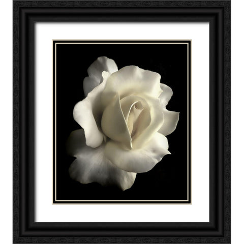 Rose White 1 Black Ornate Wood Framed Art Print with Double Matting by Schell, Jennie Marie