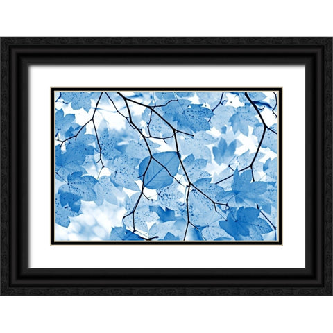 Blue Leaves 4 Black Ornate Wood Framed Art Print with Double Matting by Schell, Jennie Marie