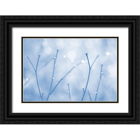 Blue Twigs Abstract Black Ornate Wood Framed Art Print with Double Matting by Schell, Jennie Marie