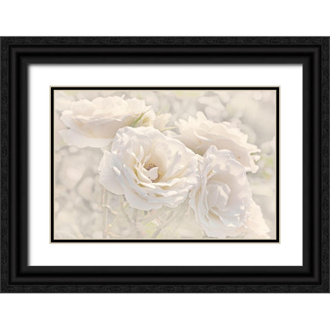 Rose White Ivory 9 Black Ornate Wood Framed Art Print with Double Matting by Schell, Jennie Marie