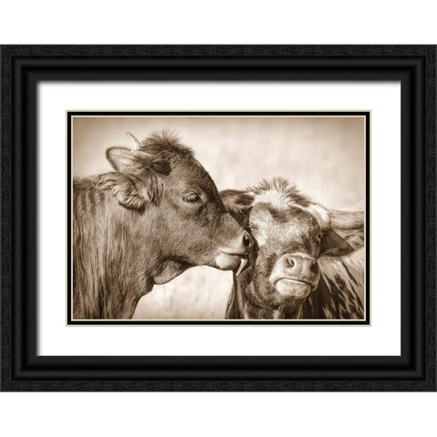 Calf Kiss Sepia Black Ornate Wood Framed Art Print with Double Matting by Schell, Jennie Marie