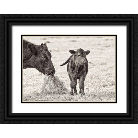 Cow and Calf Sepia Black Ornate Wood Framed Art Print with Double Matting by Schell, Jennie Marie