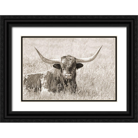 Longhorn Bull Sepia Black Ornate Wood Framed Art Print with Double Matting by Schell, Jennie Marie