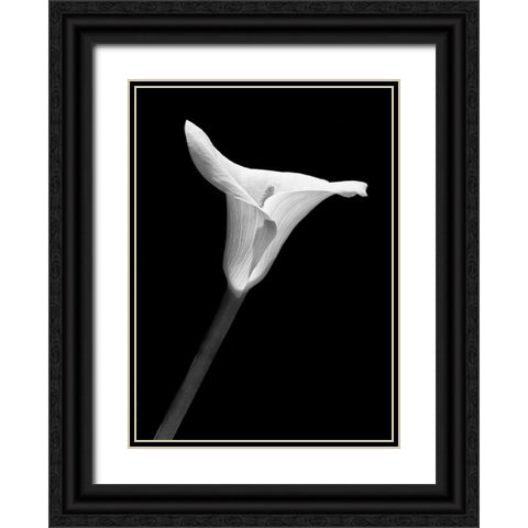Calla Lily Flower Black and White 1 Black Ornate Wood Framed Art Print with Double Matting by Schell, Jennie Marie