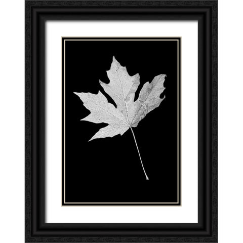 Leaf Black and White 1 Black Ornate Wood Framed Art Print with Double Matting by Schell, Jennie Marie