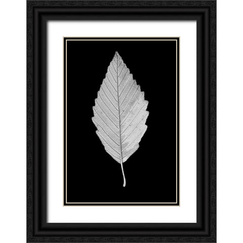 Leaf Black and White 2 Black Ornate Wood Framed Art Print with Double Matting by Schell, Jennie Marie