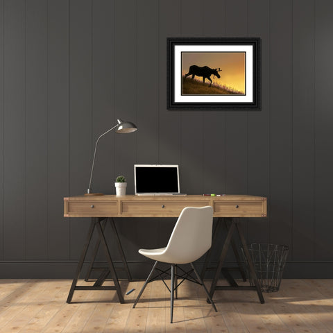 Moose Walking Silhouette Black Ornate Wood Framed Art Print with Double Matting by Schell, Jennie Marie