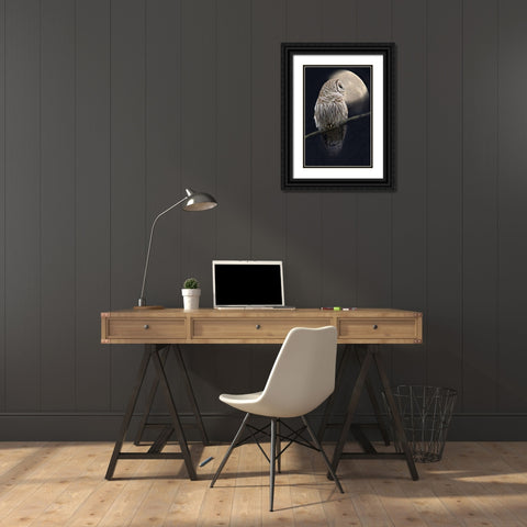 Owl and Moon Black Ornate Wood Framed Art Print with Double Matting by Schell, Jennie Marie