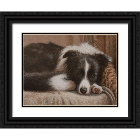 396 Border Collie Black Ornate Wood Framed Art Print with Double Matting by Silver, John