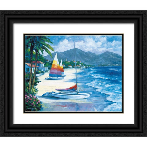 Tropical Breezes Black Ornate Wood Framed Art Print with Double Matting by Zaccheo, John