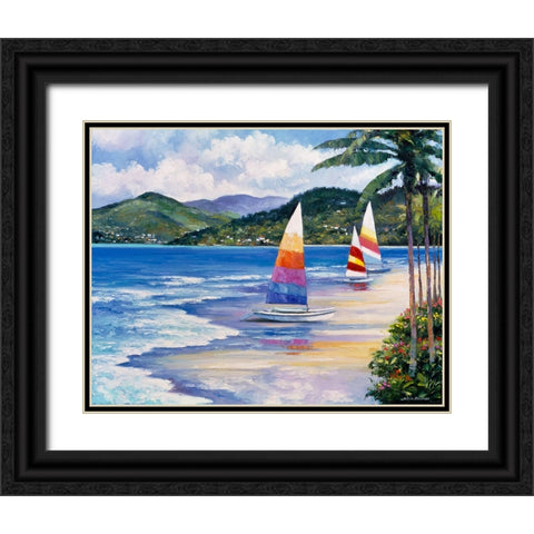 Seaside Sails Black Ornate Wood Framed Art Print with Double Matting by Zaccheo, John
