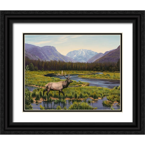 Meadows of Grand Lake, Colorado Black Ornate Wood Framed Art Print with Double Matting by Zaccheo, John