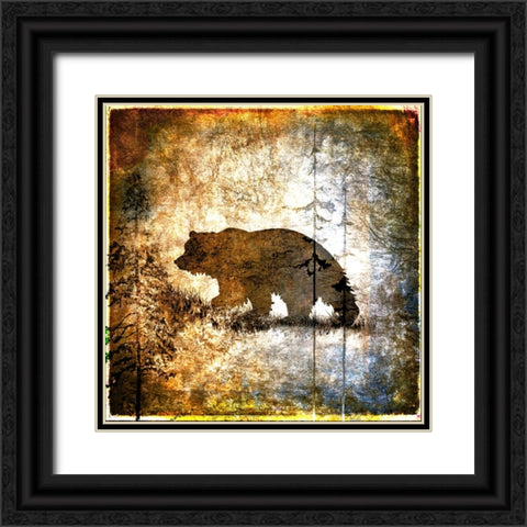 High Country Bear Black Ornate Wood Framed Art Print with Double Matting by LightBoxJournal