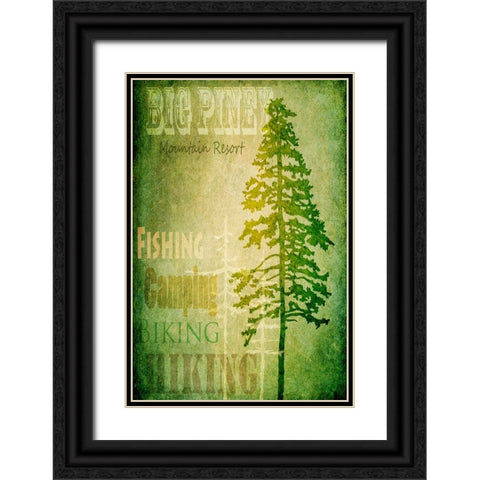 Big Piney Black Ornate Wood Framed Art Print with Double Matting by LightBoxJournal