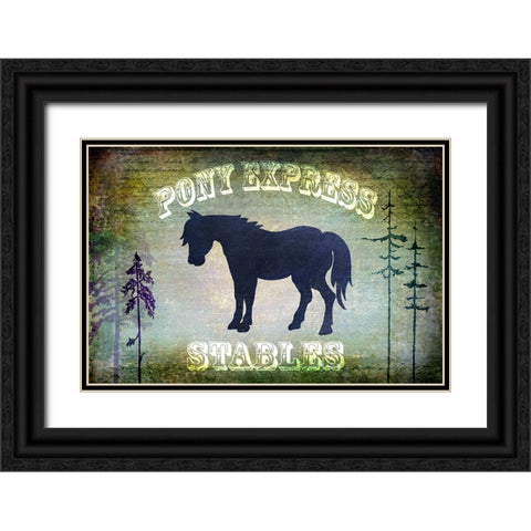 Country Horse I Black Ornate Wood Framed Art Print with Double Matting by LightBoxJournal