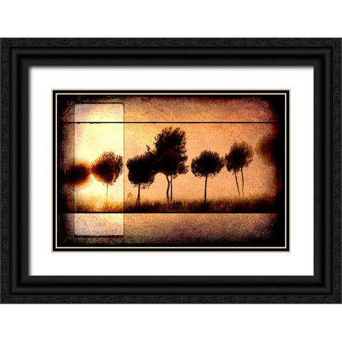For the Love of Trees I Black Ornate Wood Framed Art Print with Double Matting by LightBoxJournal