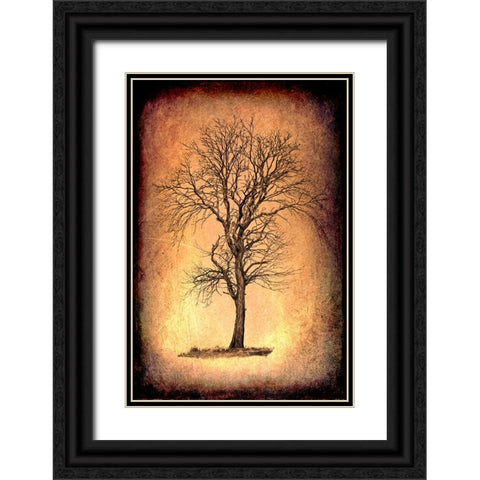 For the Love of Trees II Black Ornate Wood Framed Art Print with Double Matting by LightBoxJournal