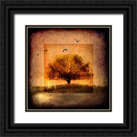 For the Love of Trees III Black Ornate Wood Framed Art Print with Double Matting by LightBoxJournal