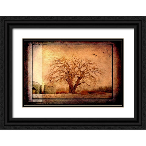 For the Love of Trees IV Black Ornate Wood Framed Art Print with Double Matting by LightBoxJournal
