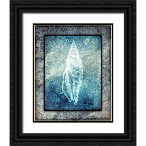 Hello Beach Shell III Black Ornate Wood Framed Art Print with Double Matting by LightBoxJournal