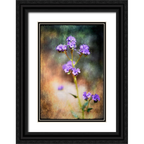 Desert Flower 2 Black Ornate Wood Framed Art Print with Double Matting by LightBoxJournal