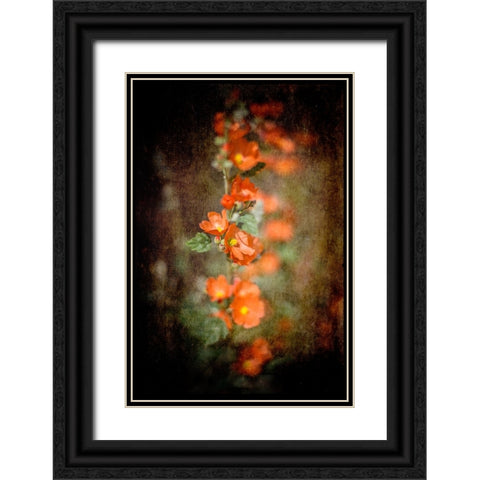 Desert Flower 5 Black Ornate Wood Framed Art Print with Double Matting by LightBoxJournal