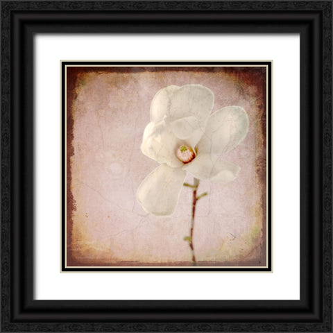 Paper Magnolia Black Ornate Wood Framed Art Print with Double Matting by LightBoxJournal