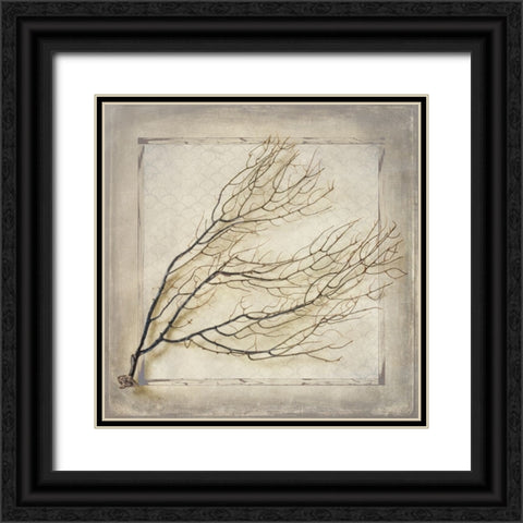 Starfish Sea Leaf Black Ornate Wood Framed Art Print with Double Matting by LightBoxJournal