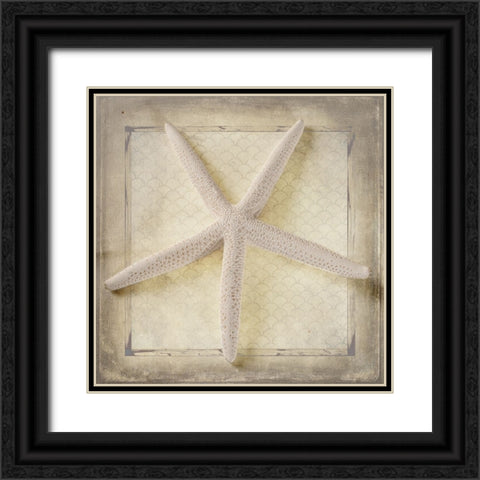 Starfish Black Ornate Wood Framed Art Print with Double Matting by LightBoxJournal