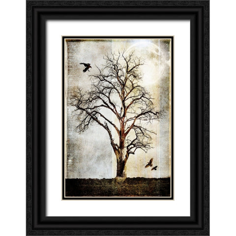 Cottonwood Tree Part 02 Black Ornate Wood Framed Art Print with Double Matting by LightBoxJournal