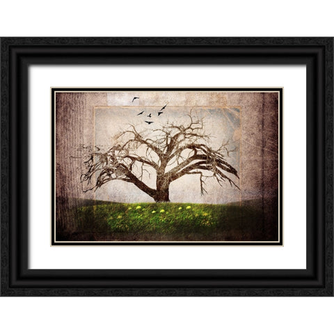 Cottonwood Tree Part 03 Black Ornate Wood Framed Art Print with Double Matting by LightBoxJournal