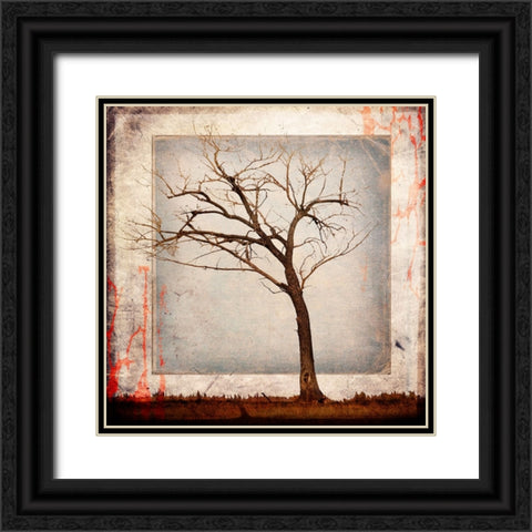 Cottonwood Tree Part 05 Black Ornate Wood Framed Art Print with Double Matting by LightBoxJournal