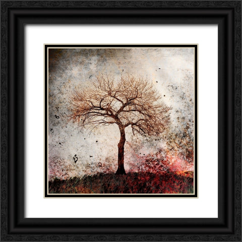 Cottonwood Tree Part 09 Black Ornate Wood Framed Art Print with Double Matting by LightBoxJournal