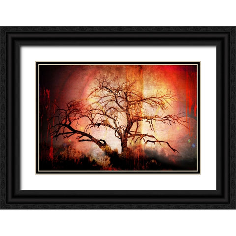 Cottonwood Tree Part 10 Black Ornate Wood Framed Art Print with Double Matting by LightBoxJournal