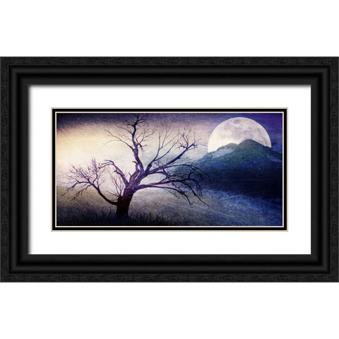 Cottonwood Tree Part 11 Black Ornate Wood Framed Art Print with Double Matting by LightBoxJournal