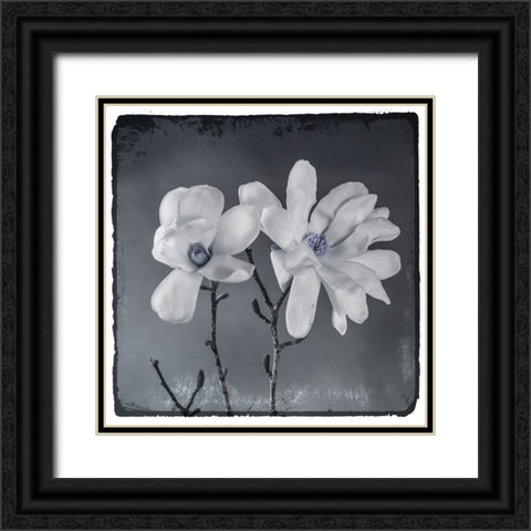 Blue Magnolia 3 Black Ornate Wood Framed Art Print with Double Matting by LightBoxJournal