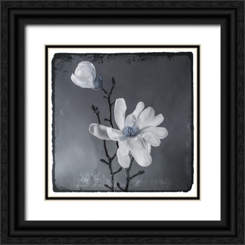 Blue Magnolia Black Ornate Wood Framed Art Print with Double Matting by LightBoxJournal