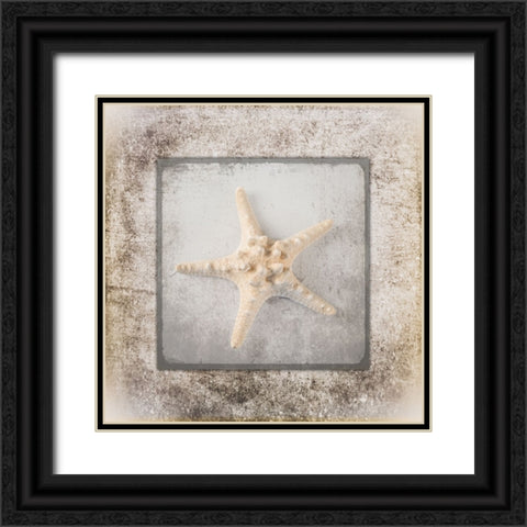 Stone Star 2 Black Ornate Wood Framed Art Print with Double Matting by LightBoxJournal