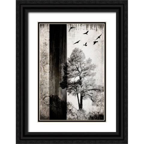 July Tree 11 Black Ornate Wood Framed Art Print with Double Matting by LightBoxJournal
