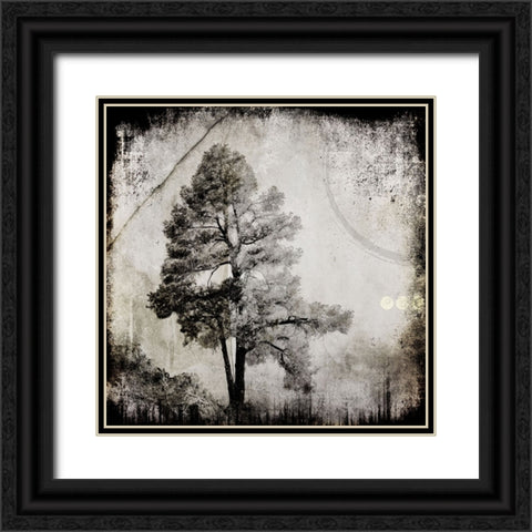 July Tree 12 Black Ornate Wood Framed Art Print with Double Matting by LightBoxJournal