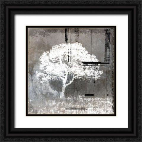 July Tree 9 Black Ornate Wood Framed Art Print with Double Matting by LightBoxJournal