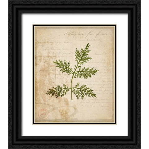 Scientific Plant 1 Black Ornate Wood Framed Art Print with Double Matting by LightBoxJournal